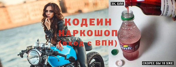 дживик Няндома