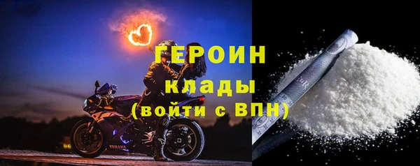 дживик Няндома