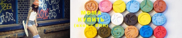 дживик Няндома