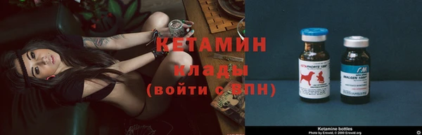 дживик Няндома