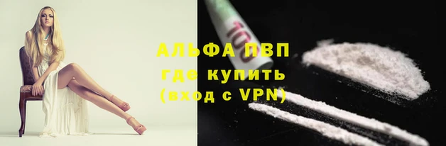 гашик Нягань