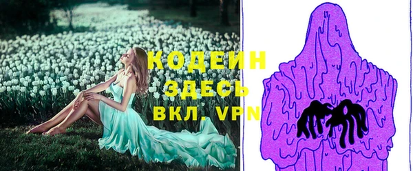 гашик Нягань
