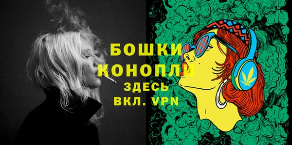 дживик Няндома