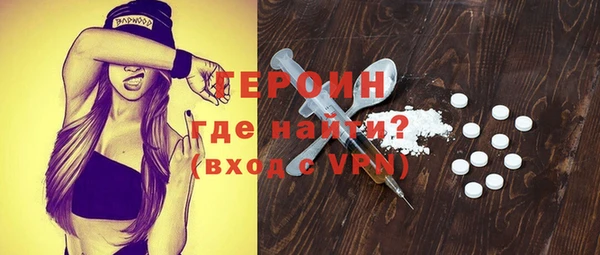 дживик Няндома