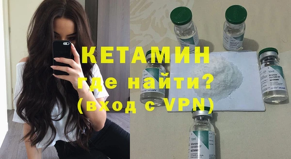 дживик Няндома