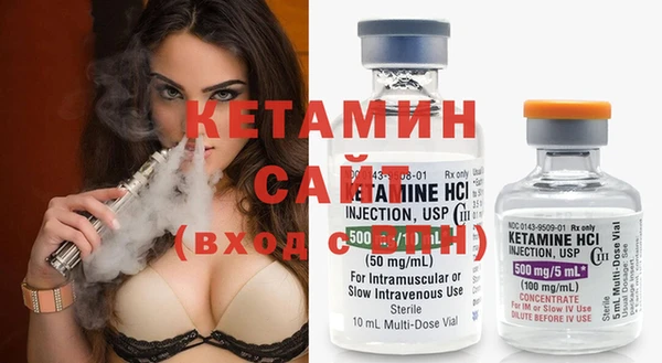 дживик Няндома