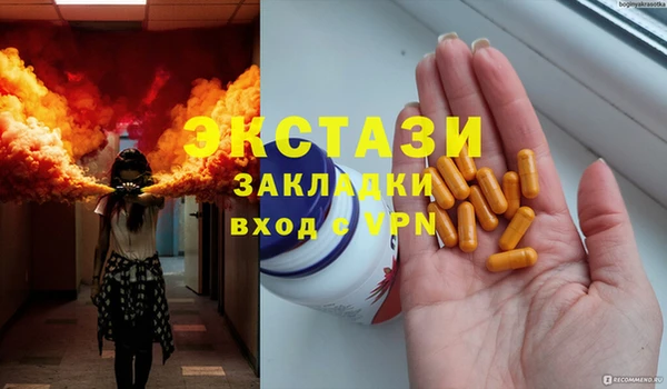 дживик Няндома