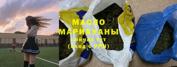 дживик Няндома