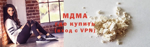 дживик Няндома