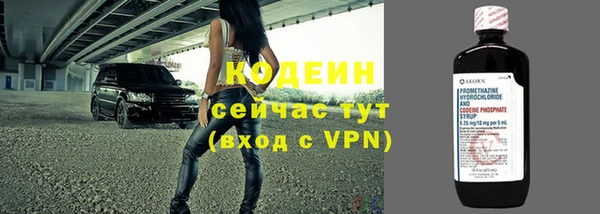 дживик Няндома